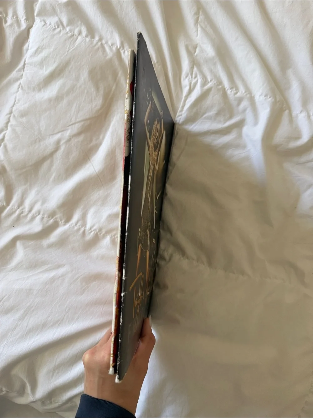 Taylor Swift Tour Speak Now & Fearless Tour Books